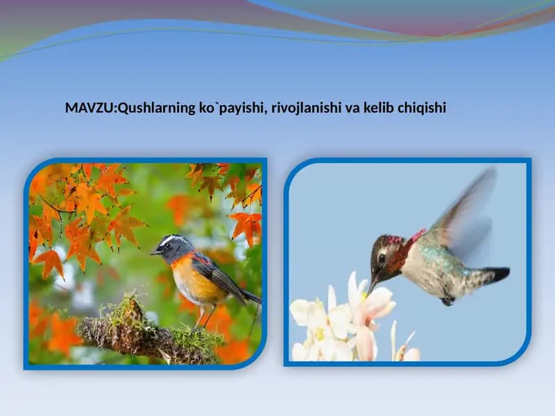 Qushlarning ko`payishi, rivojlanishi va kelib chiqishi