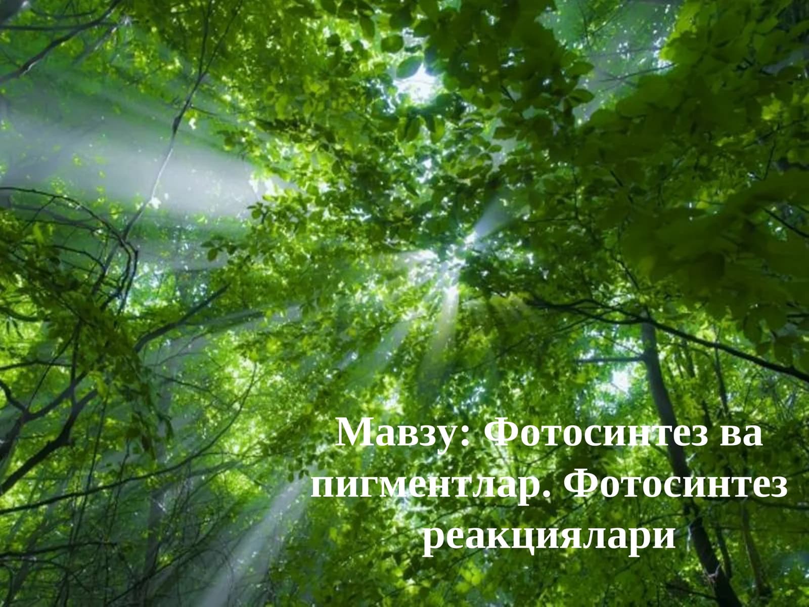 ФОТОСИНТЕЗ