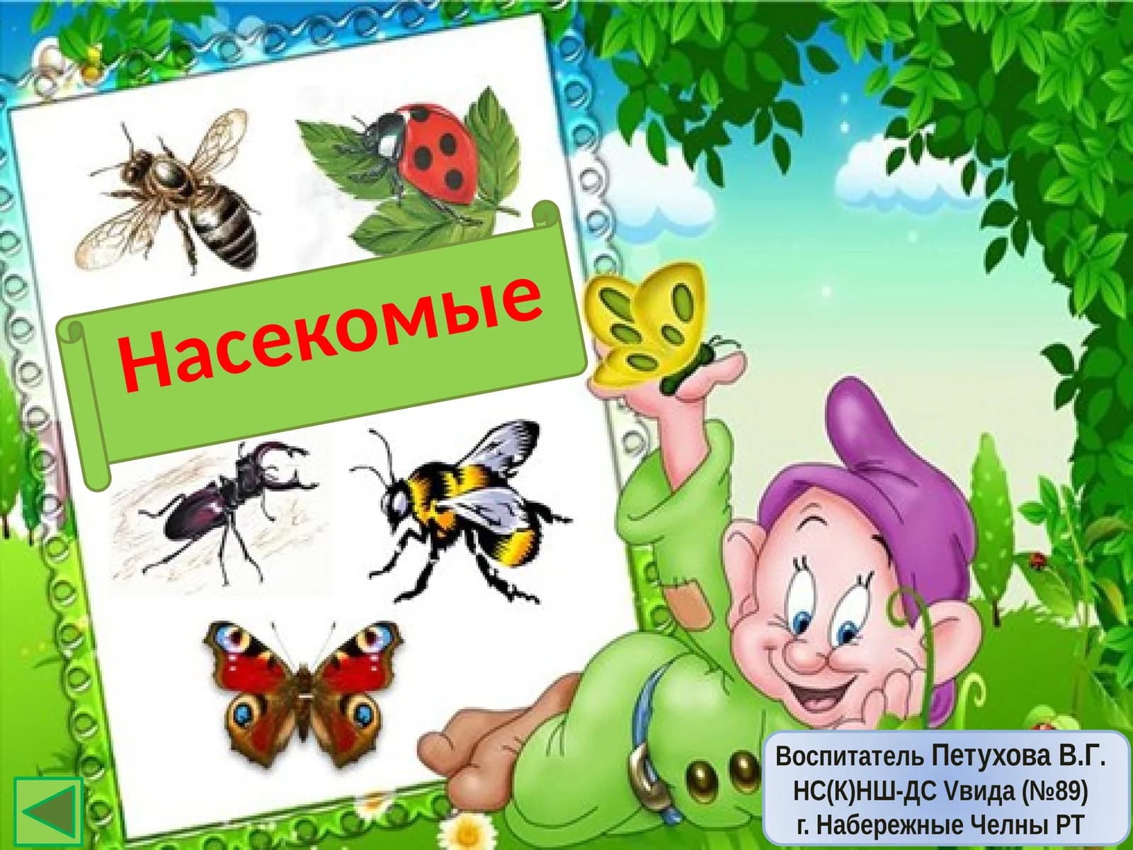 Насекомые