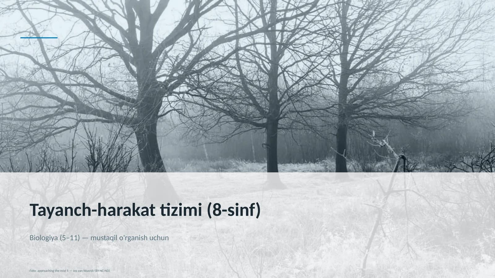 Tayanch-harakat tizimi (8-sinf)