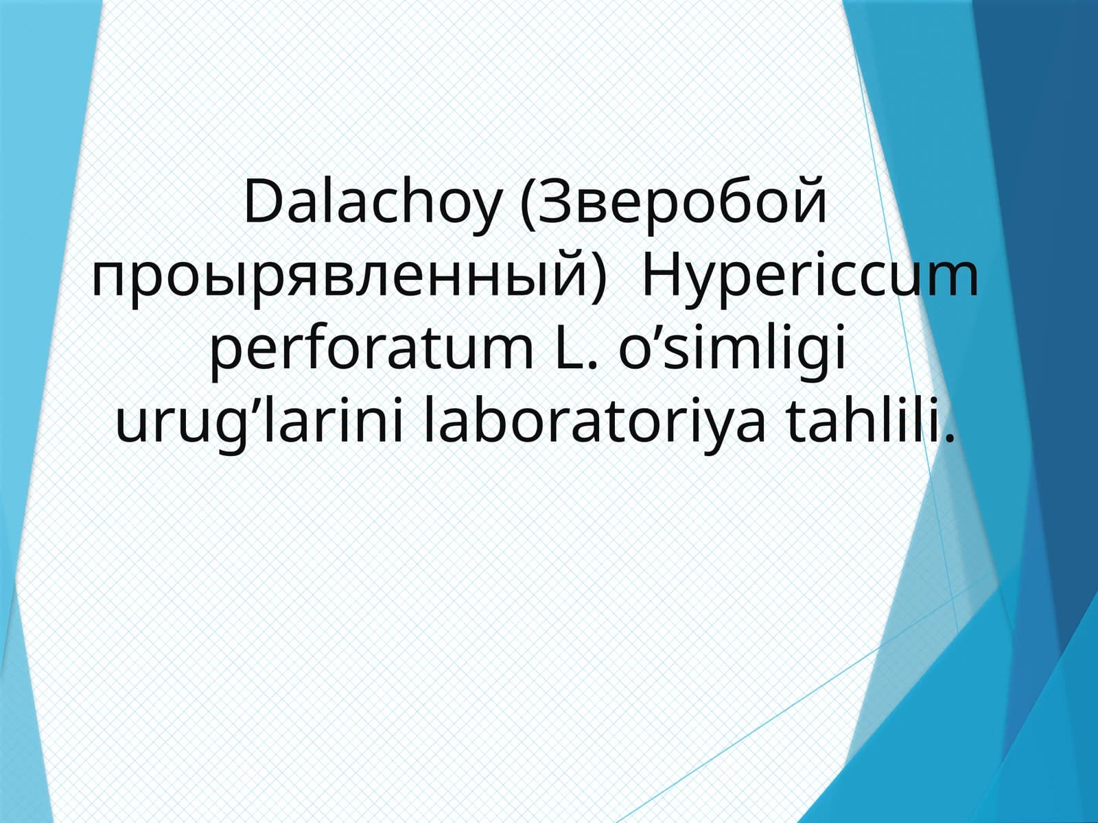 Dalachoy(Зверобойпроырявленный)