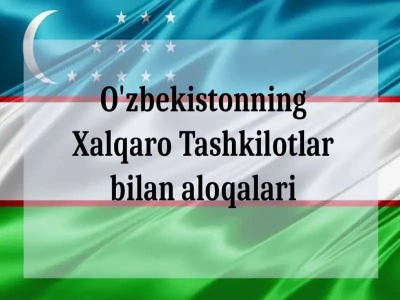 Xalqaro Tashkilotlar