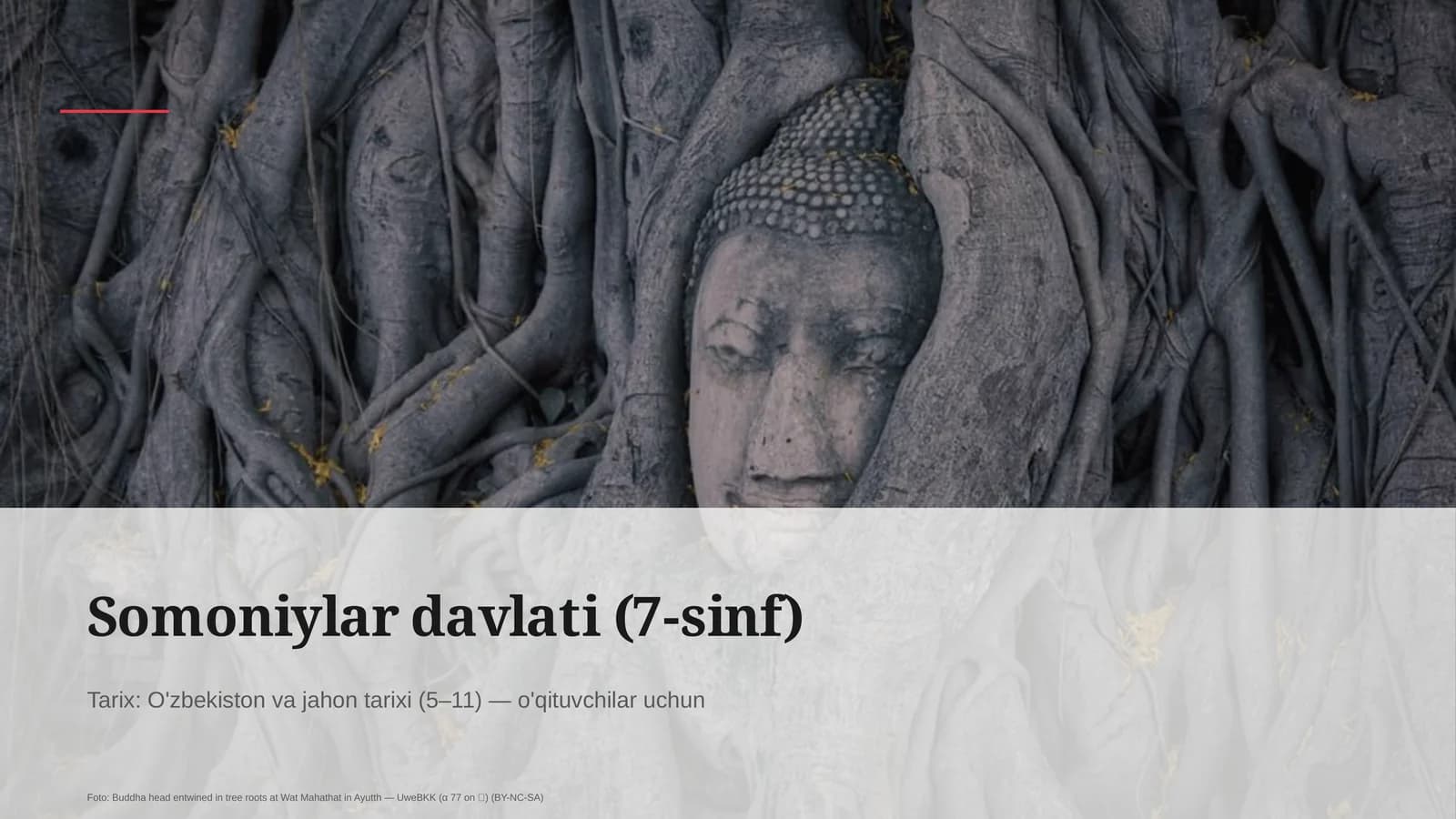 Somoniylar davlati (7-sinf)