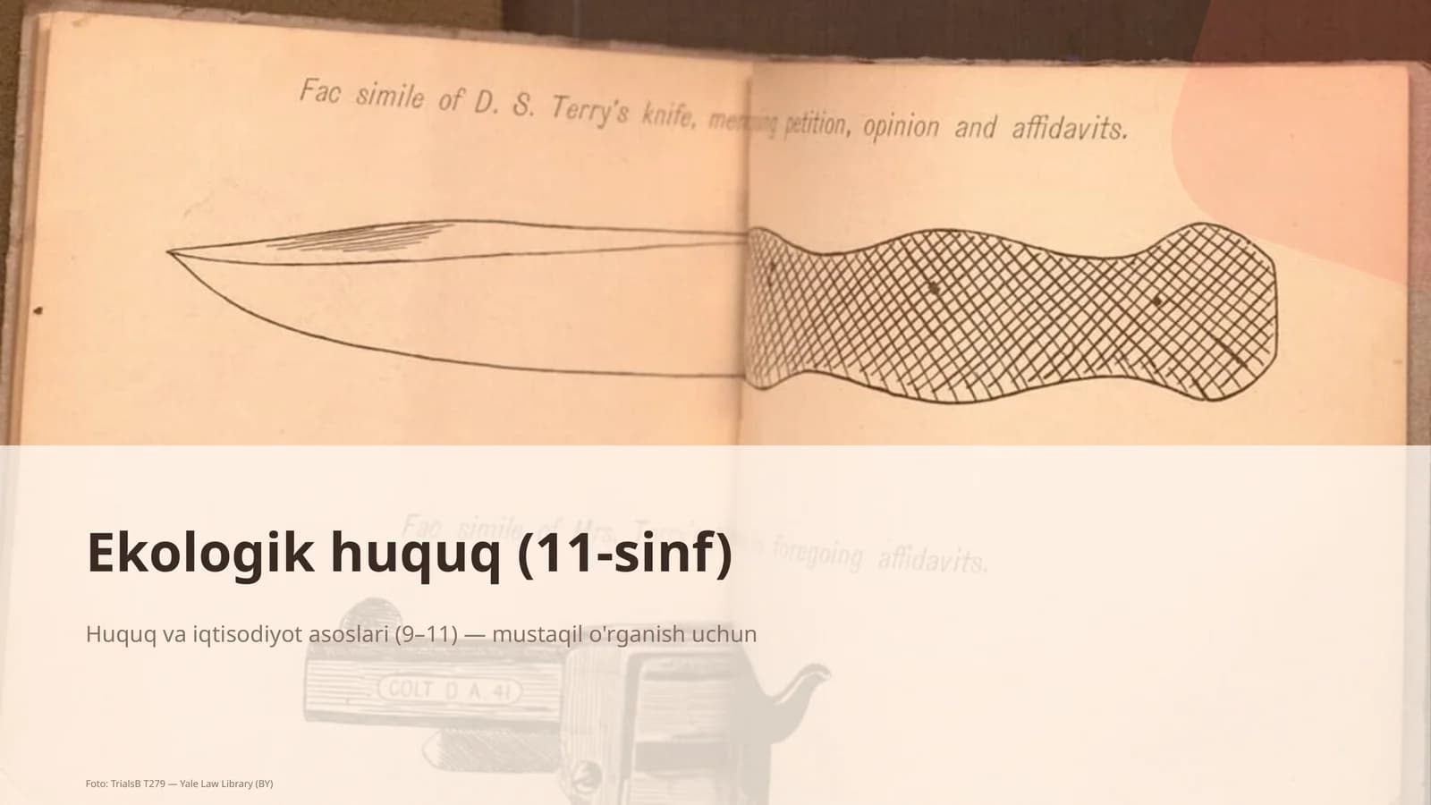 Ekologik huquq (11-sinf)