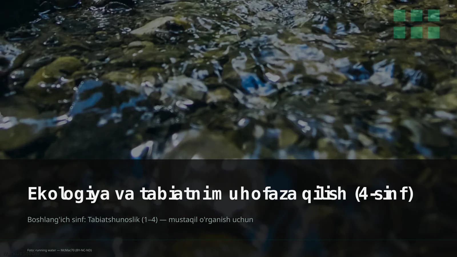 Ekologiya va tabiatni muhofaza qilish (4-sinf)