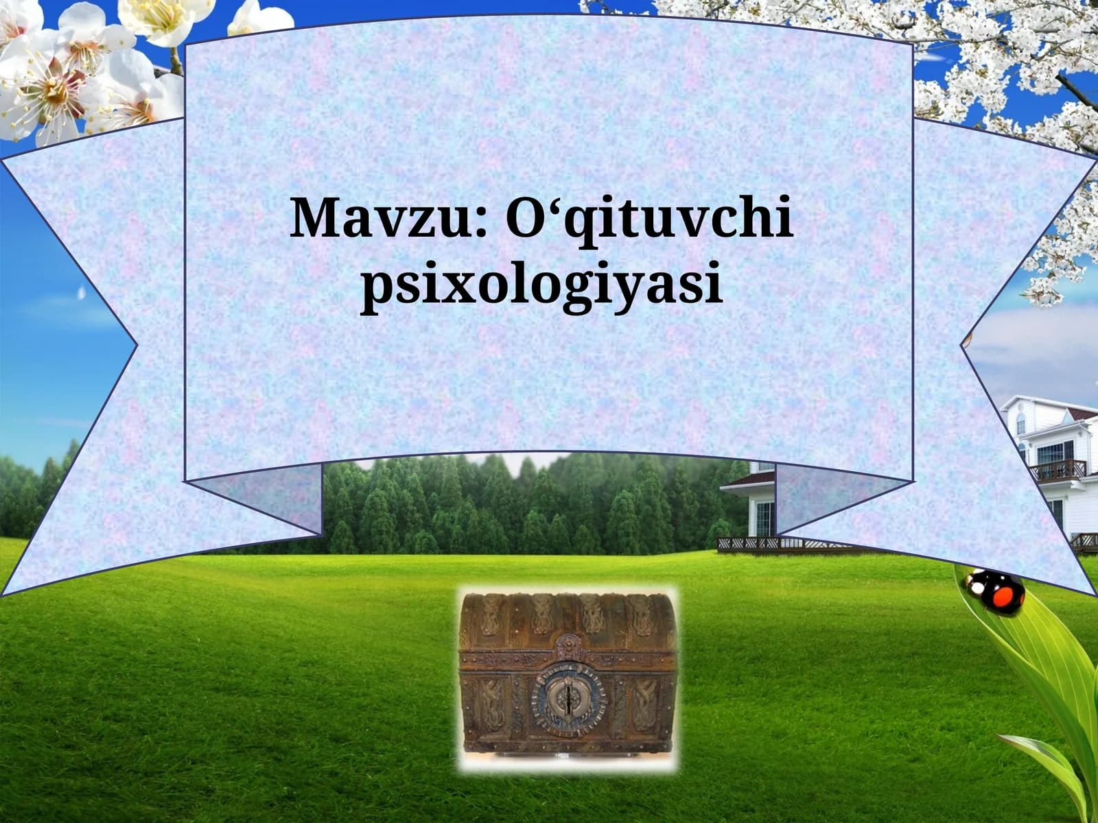 O‘qituvchi