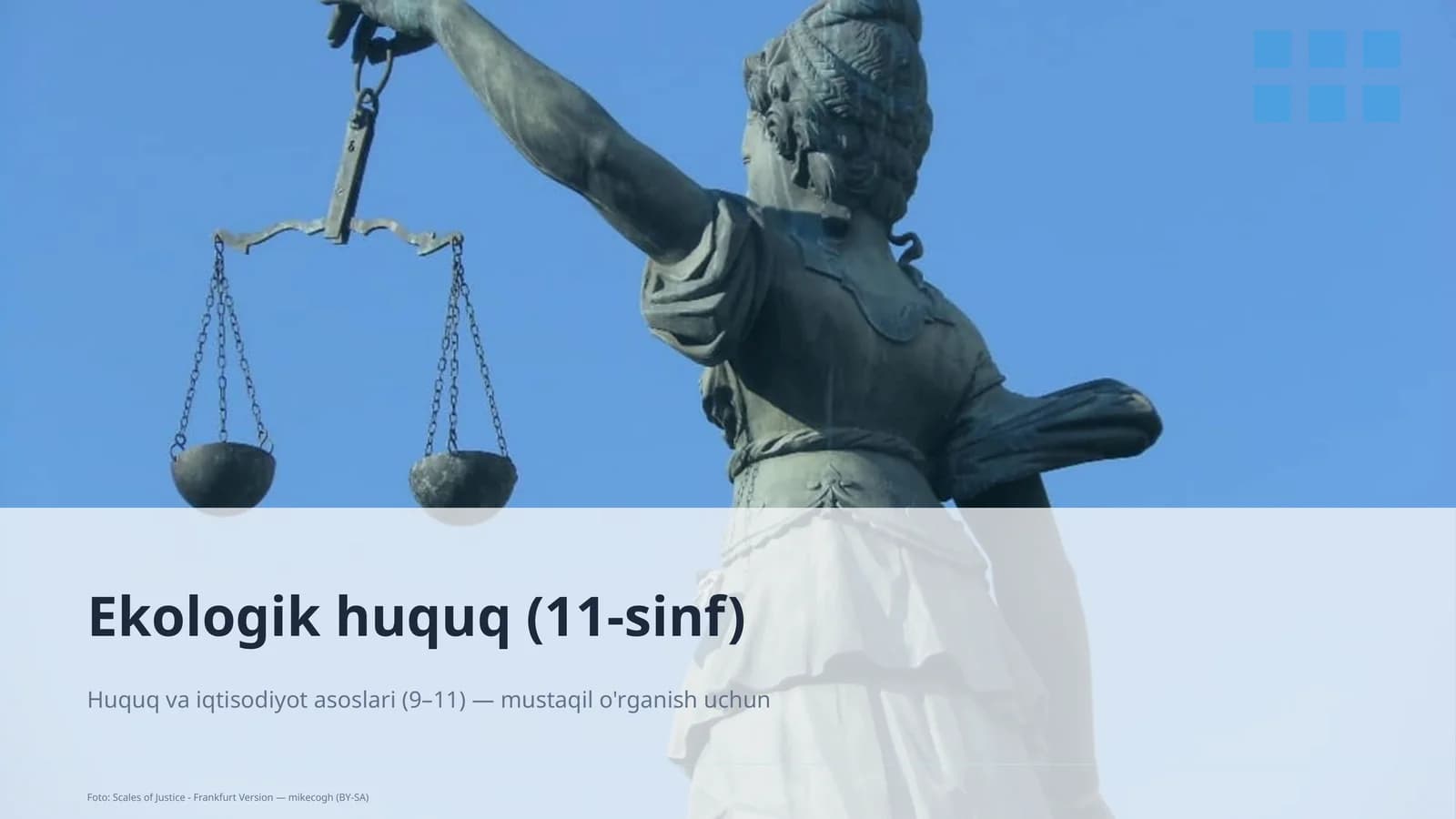 Ekologik huquq (11-sinf)