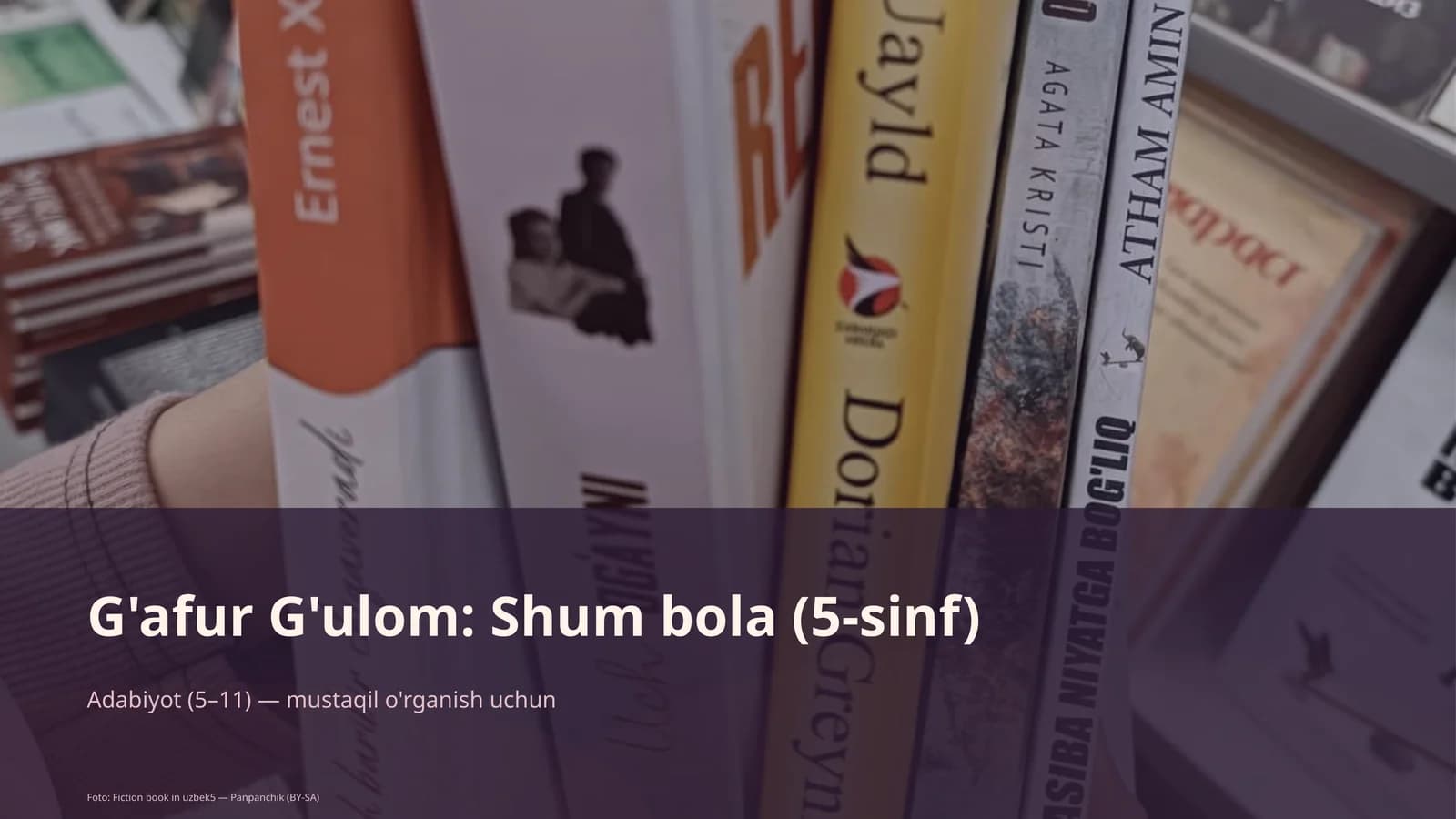 G'afur G'ulom: Shum bola (5-sinf)