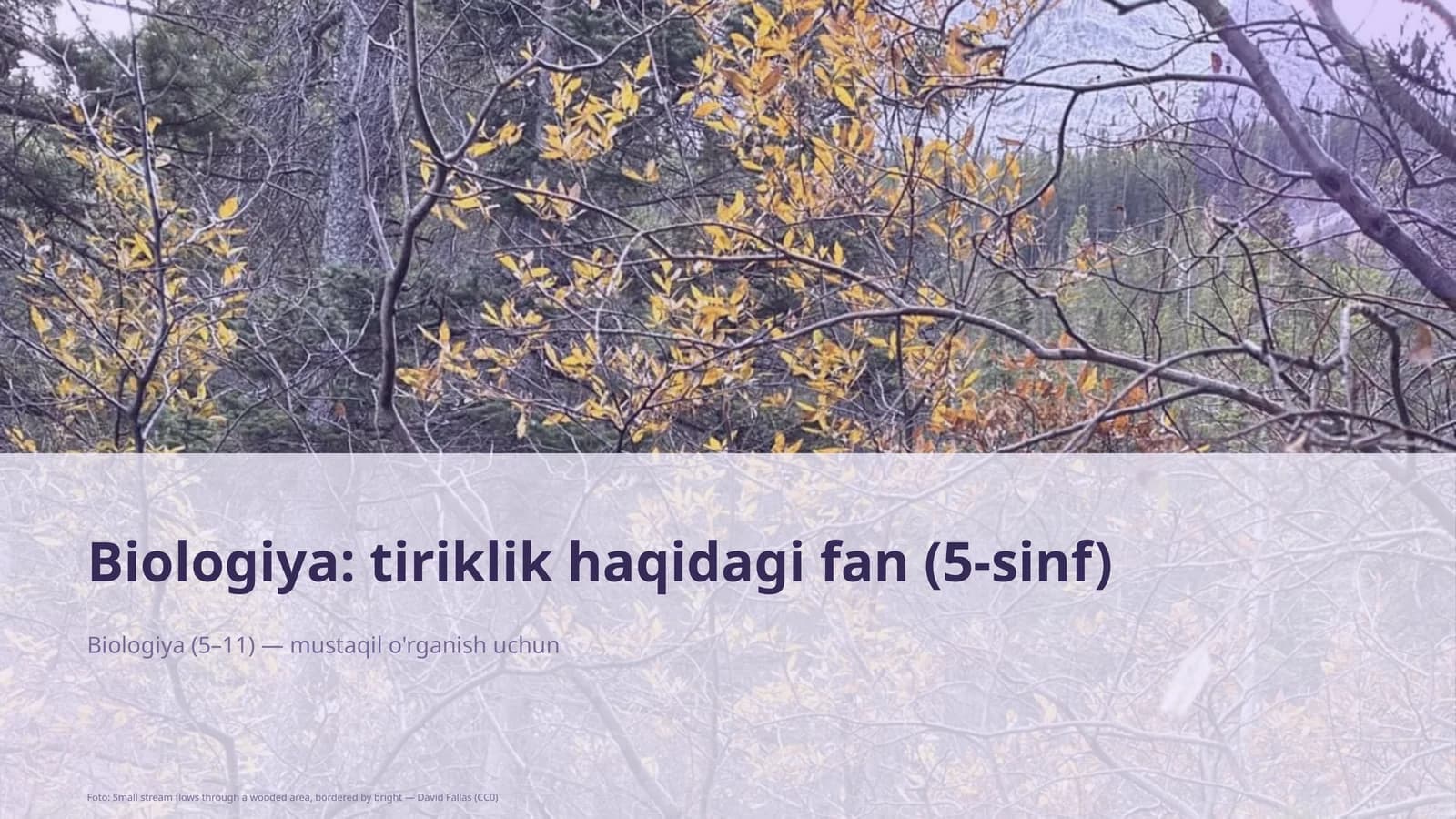 Biologiya: tiriklik haqidagi fan (5-sinf)