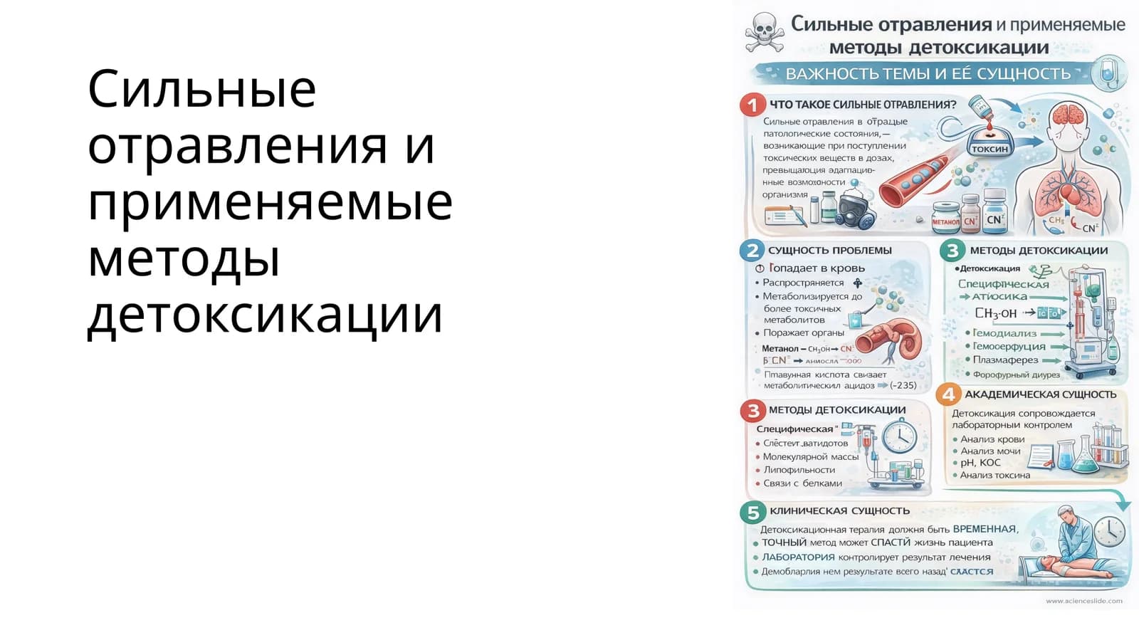 Сильные отравления и применяемые методы детоксикации
