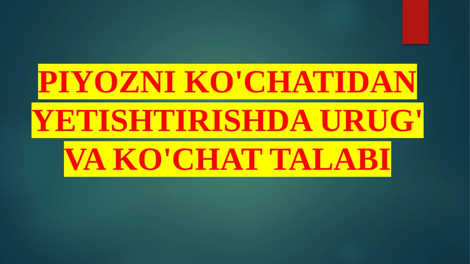 Piyozni Ko'chatidan Yetishtirishda Urug' va Ko'chat Talabi