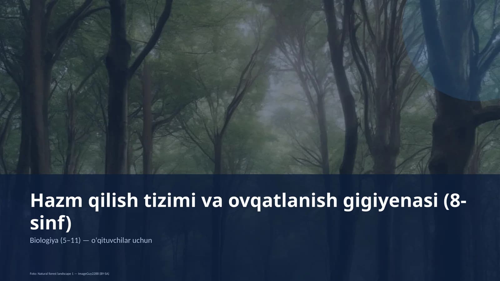 Hazm qilish tizimi va ovqatlanish gigiyenasi (8-sinf)