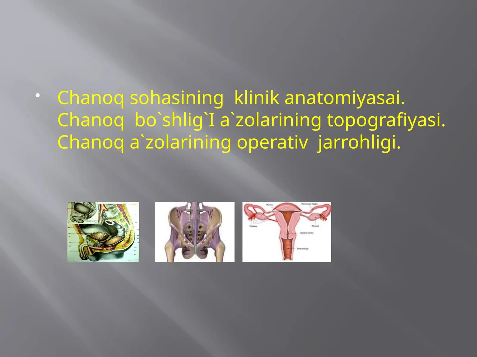 Chanoqsohasining klinika anatomiyasi