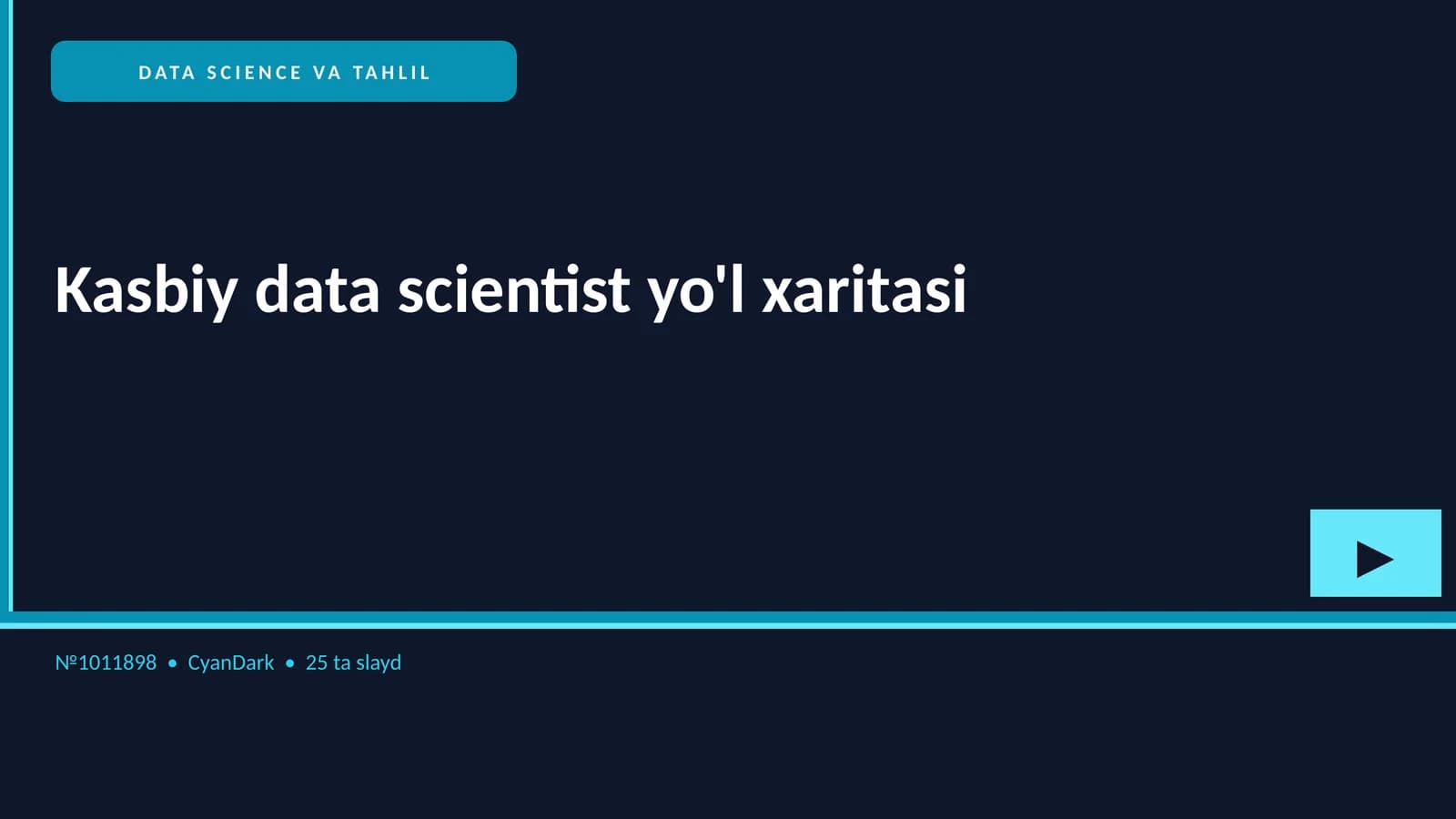 Kasbiy data scientist yo'l xaritasi