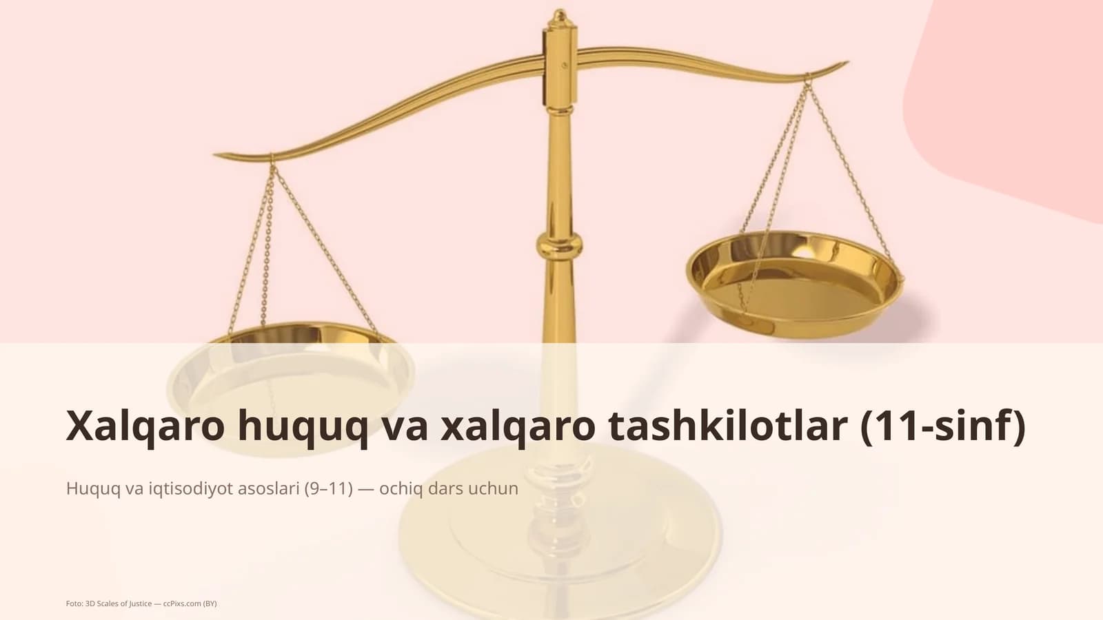 Xalqaro huquq va xalqaro tashkilotlar (11-sinf)
