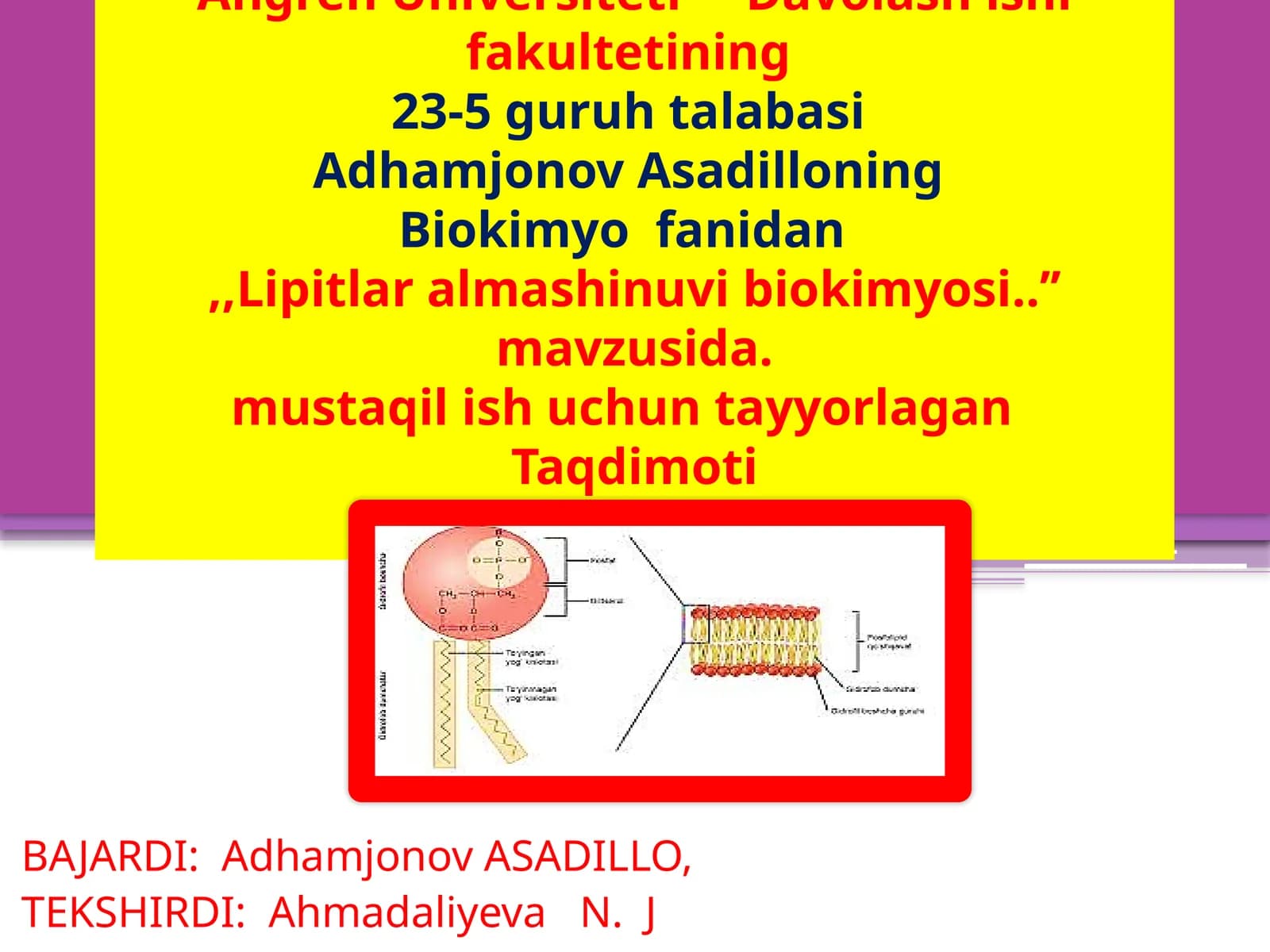 Lipitlar almashtiruvi biokimyosi