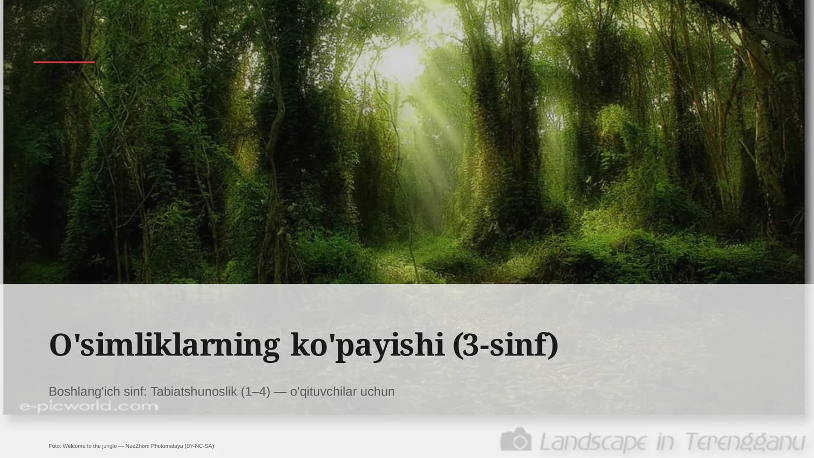 O'simliklarning ko'payishi (3-sinf)