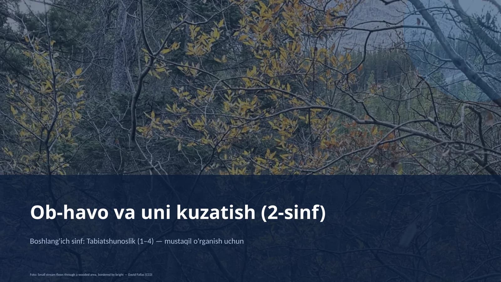 Ob-havo va uni kuzatish (2-sinf)