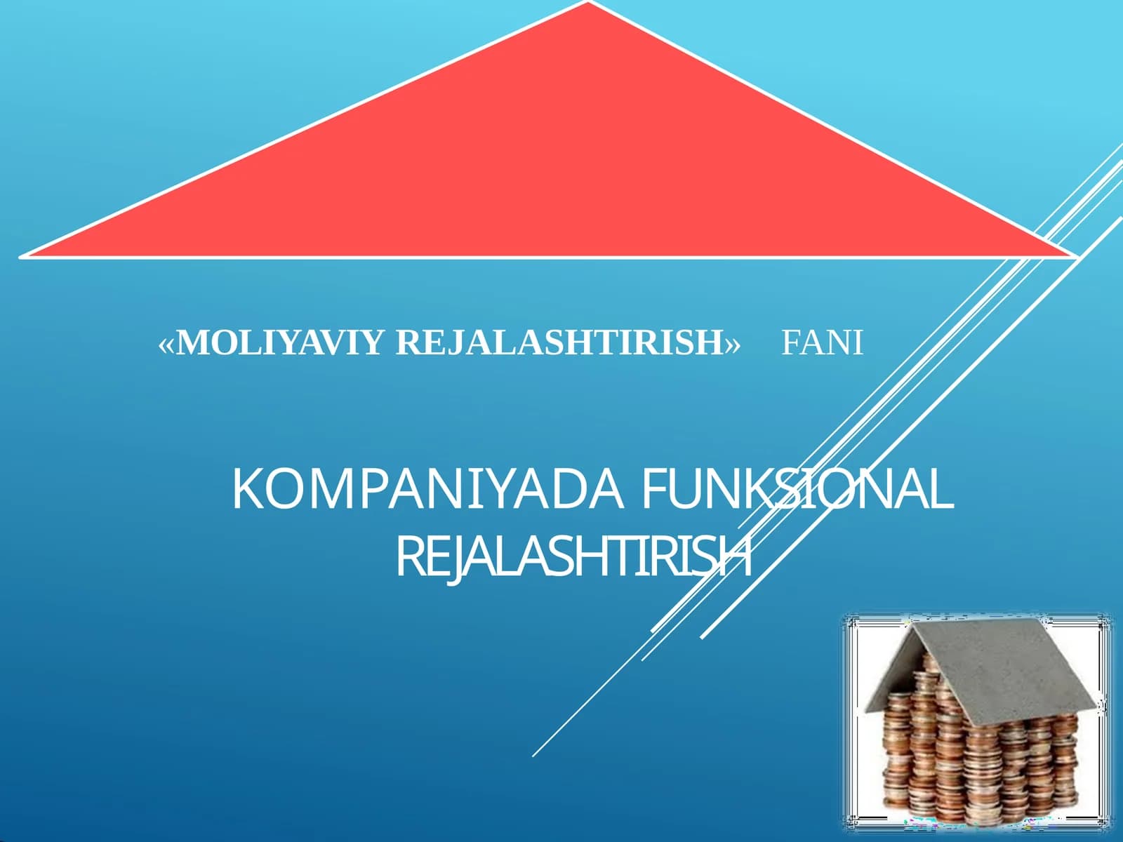 KOMPANIYADA FUNKSIONAL REJALASHTIRISH