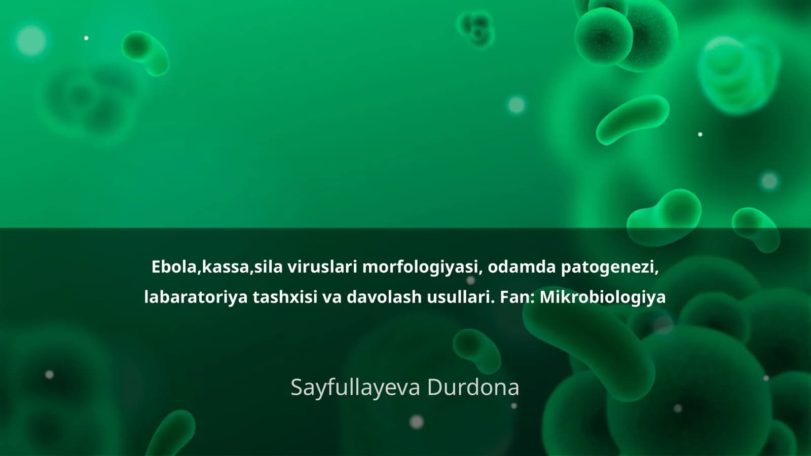 Ebola, Kassa, Sila viruslarining morfologiyasi va odamda patogenezi