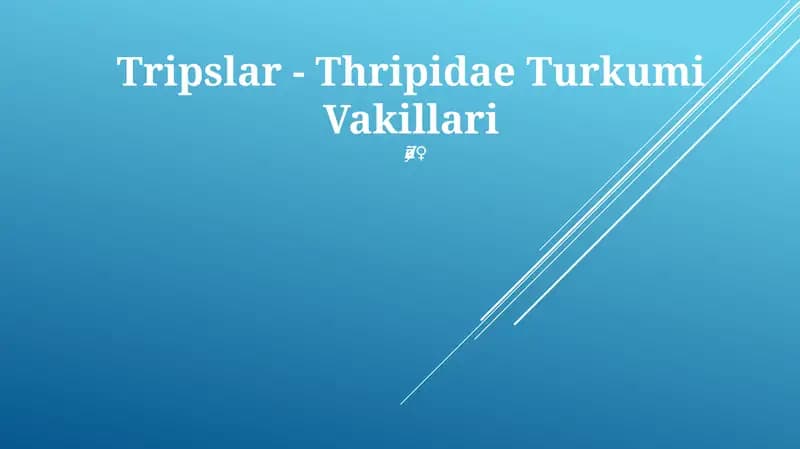 Tripslar - Thripidae Turkumi Vakillari