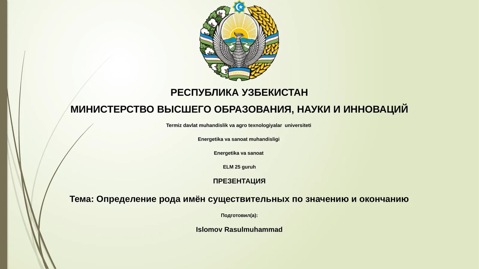 Определение рода имён существительных по значению и окончанию