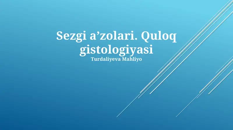 Sezgi aʼzolari. Quloq gistologiyasi
