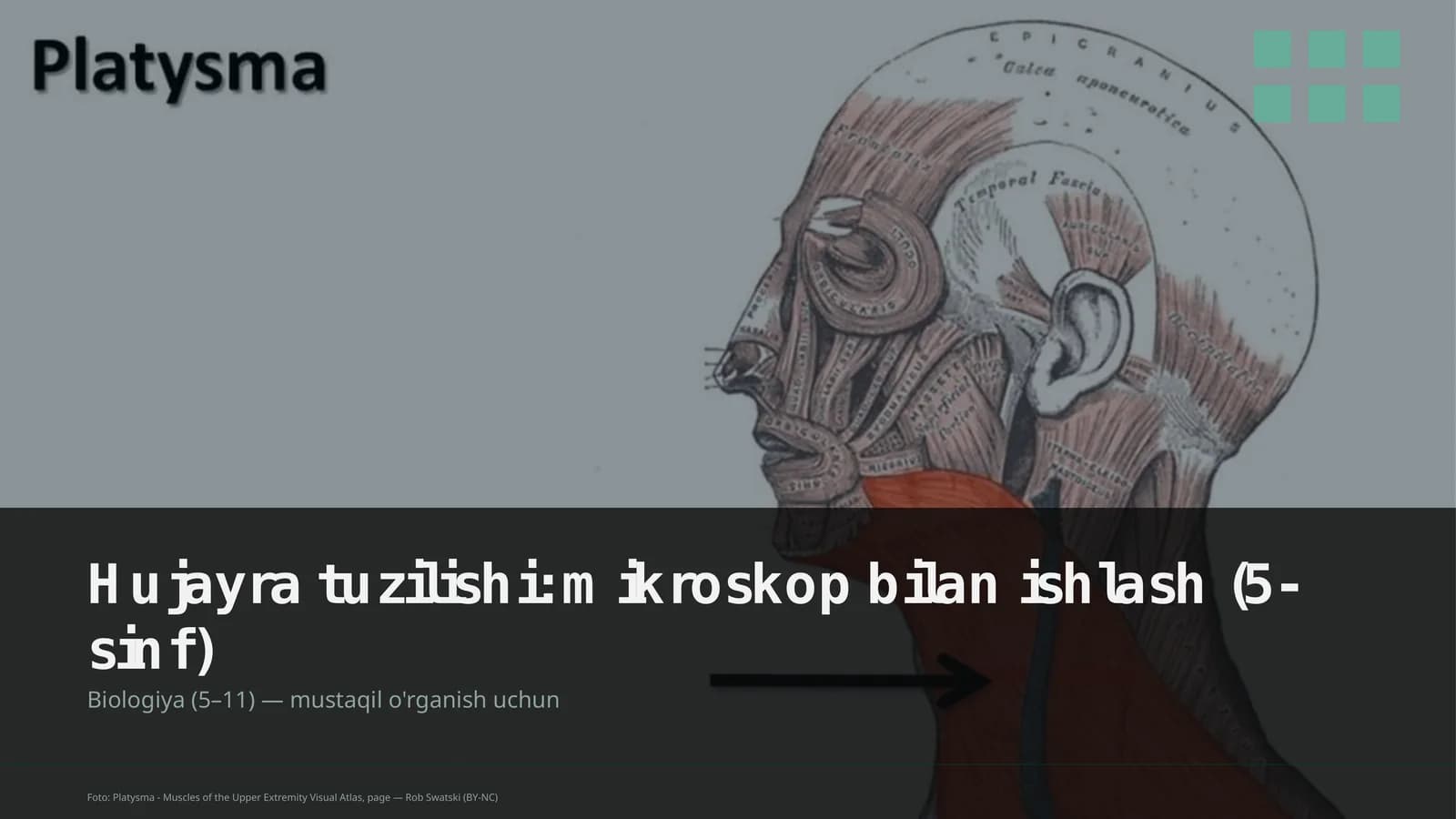 Hujayra tuzilishi: mikroskop bilan ishlash (5-sinf)