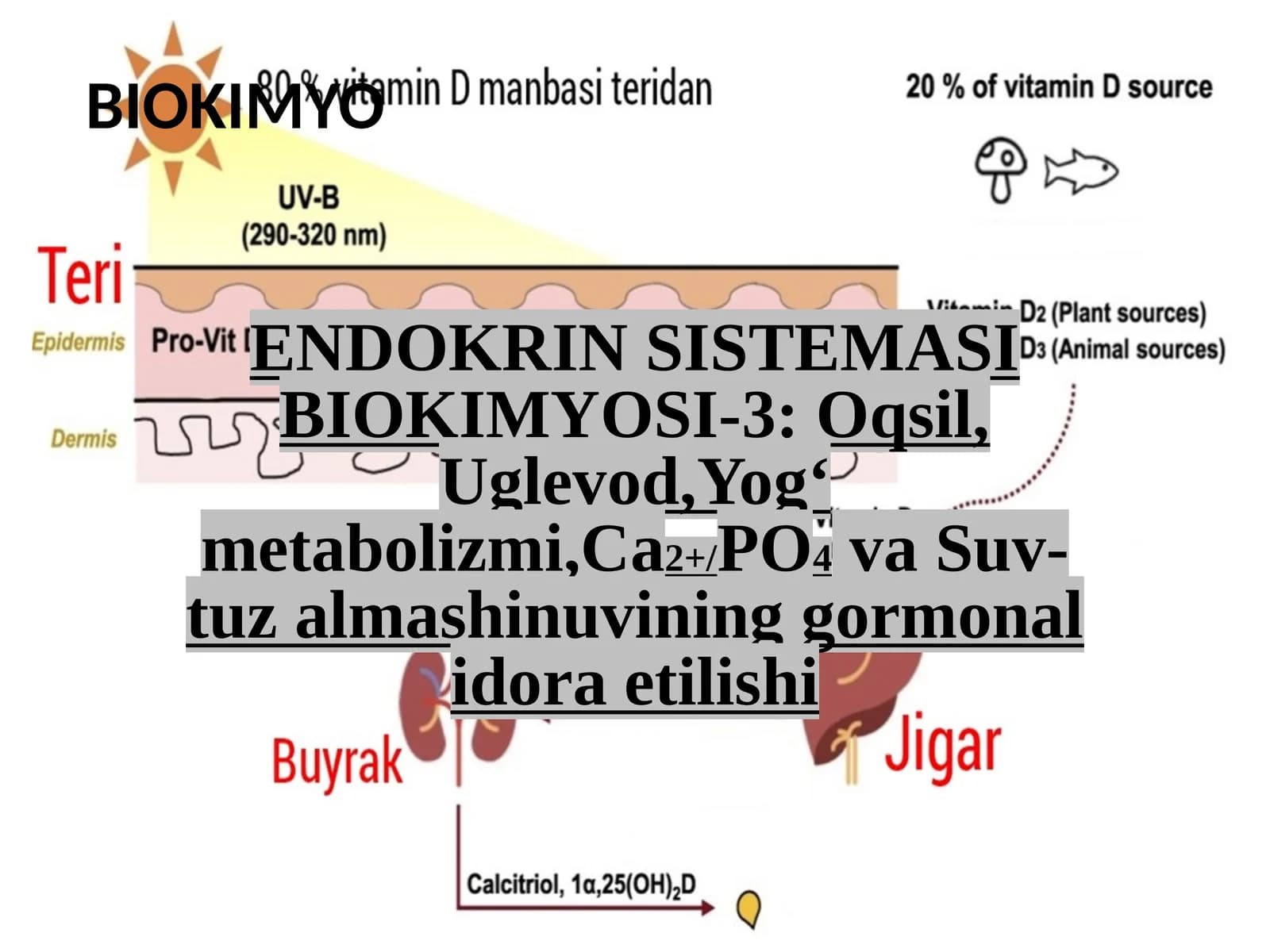 ENDOKRIN SISTEMASI BIOKIMYOSI-3:Oqsil,Uglevod,Yogʻmetabolizmi,Ca2+/PO4vaSuv-tuzalmashinuvininggormonalidoraetilishi
