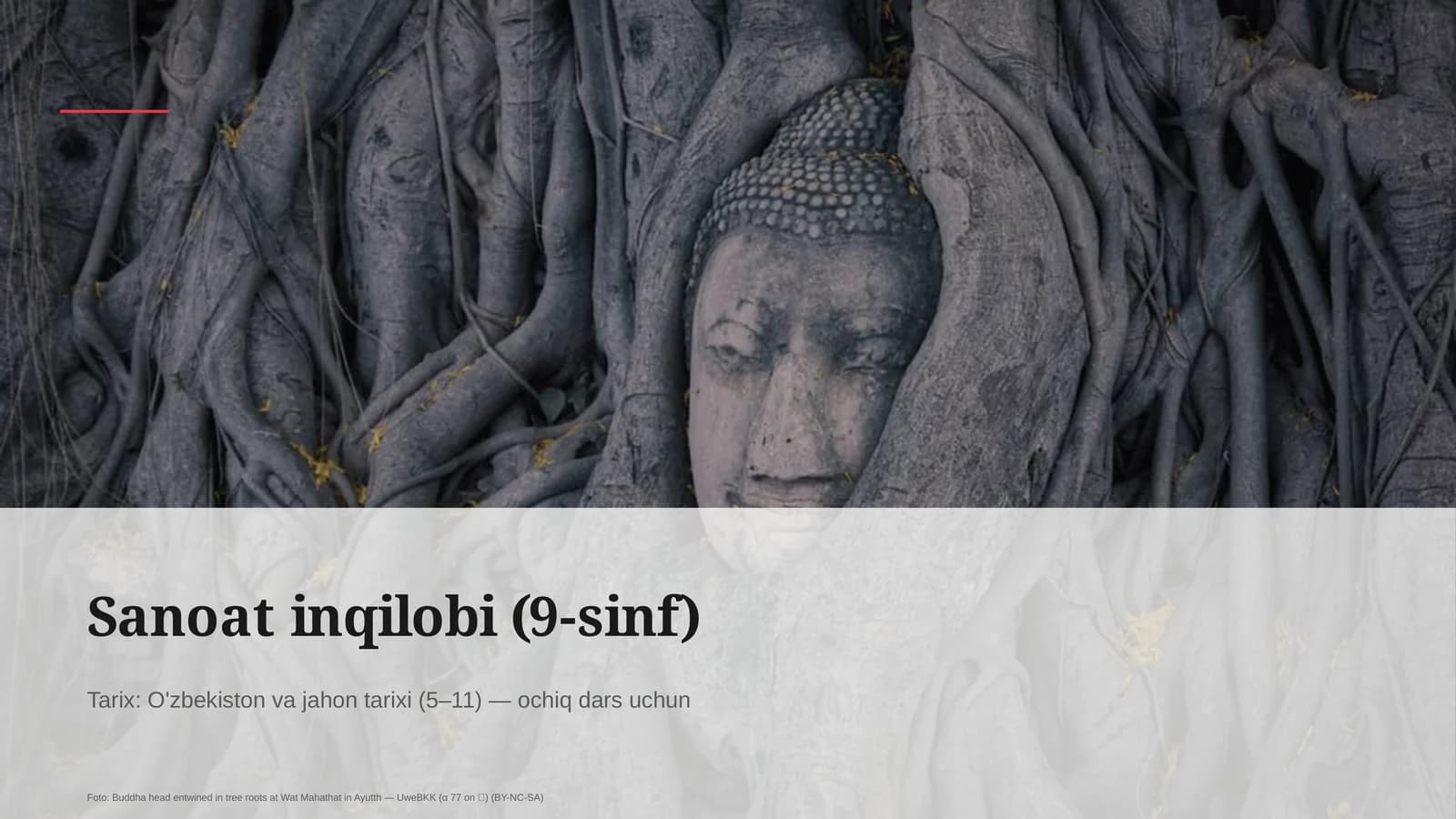 Sanoat inqilobi (9-sinf)