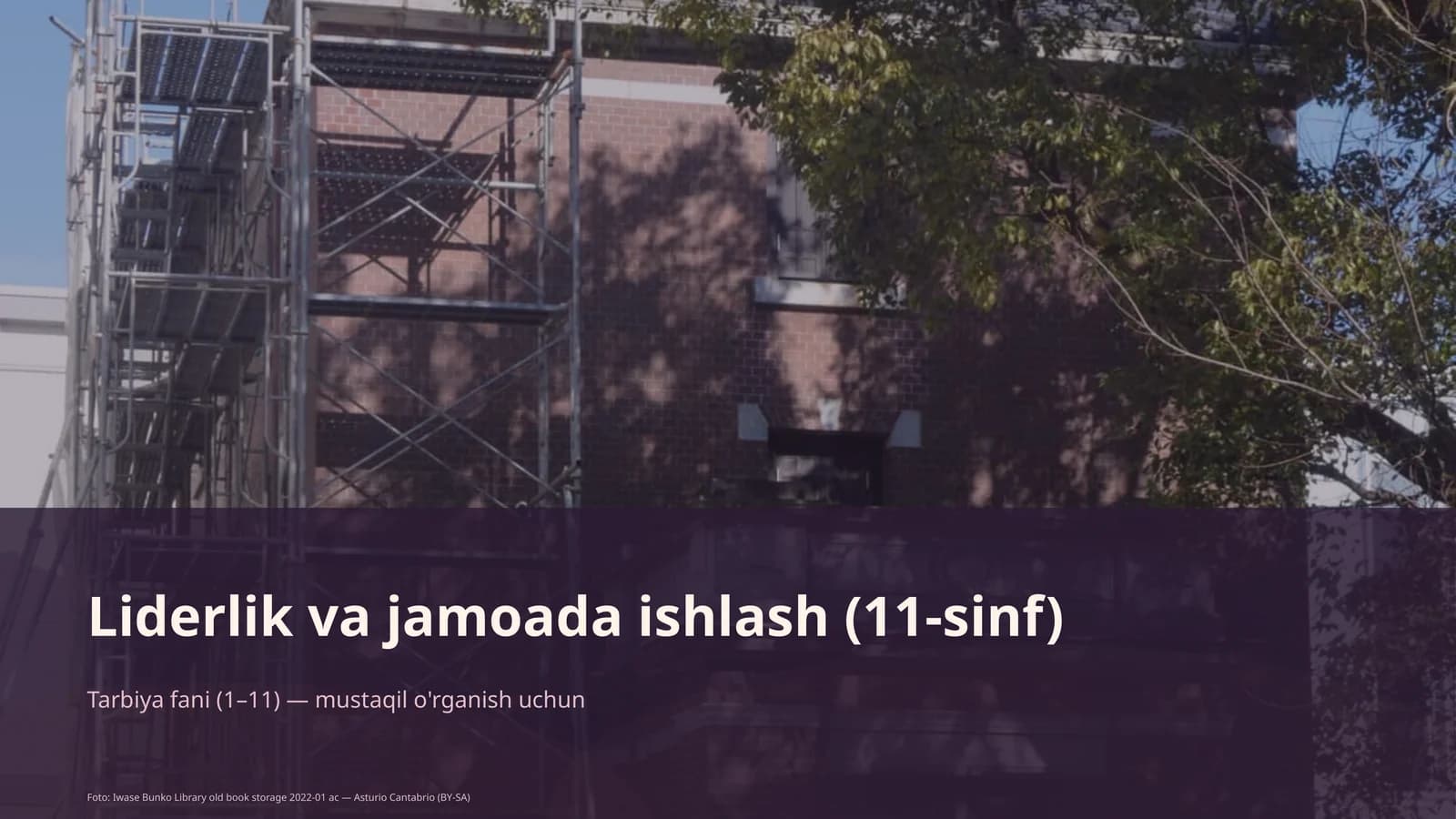 Liderlik va jamoada ishlash (11-sinf)
