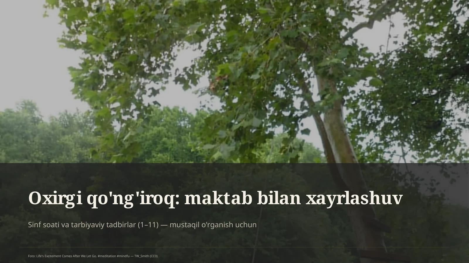 Oxirgi qo'ng'iroq: maktab bilan xayrlashuv