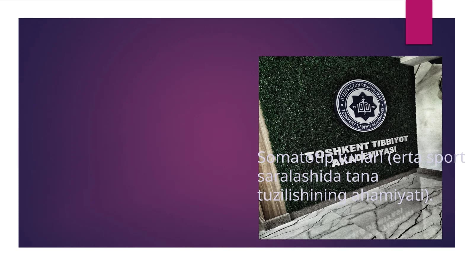 Somatotipturlari