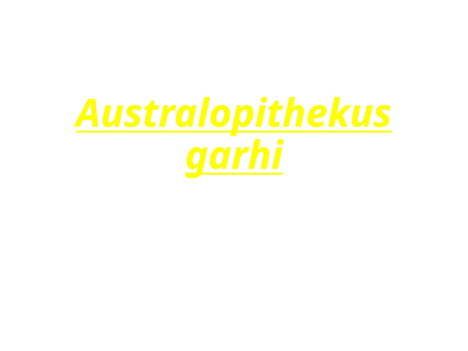 Australopithekusgarhi