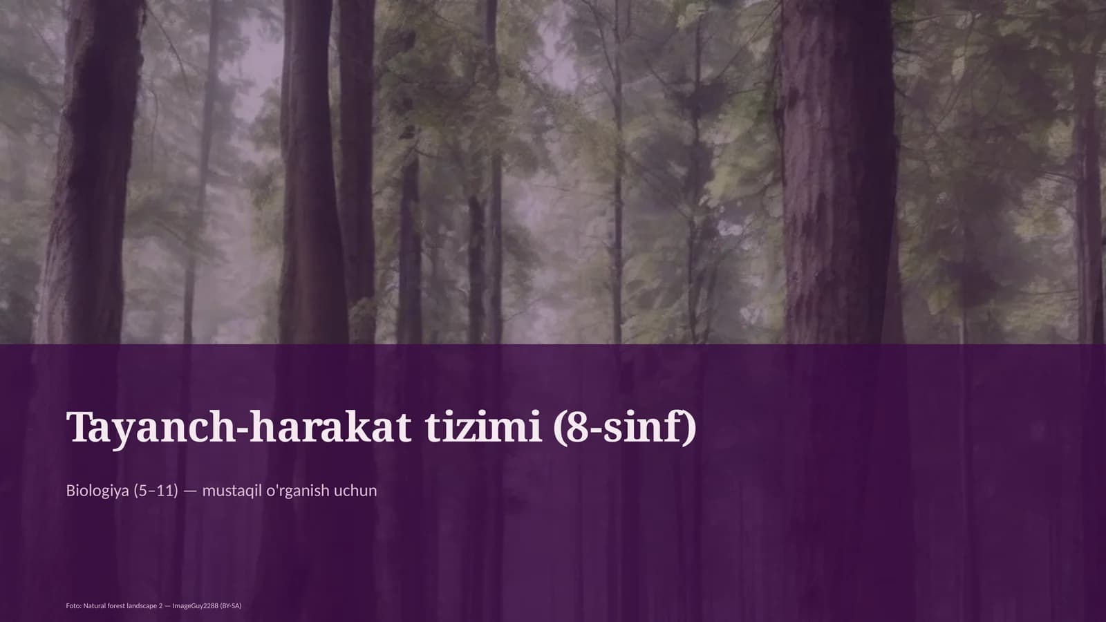Tayanch-harakat tizimi (8-sinf)