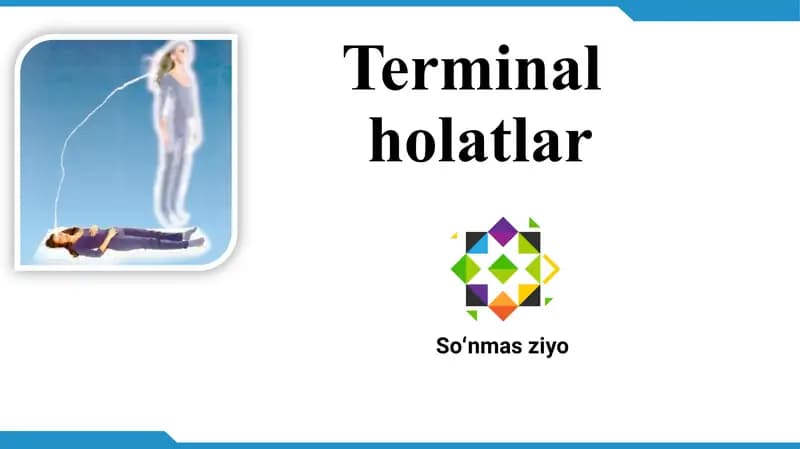 Terminal holatlar