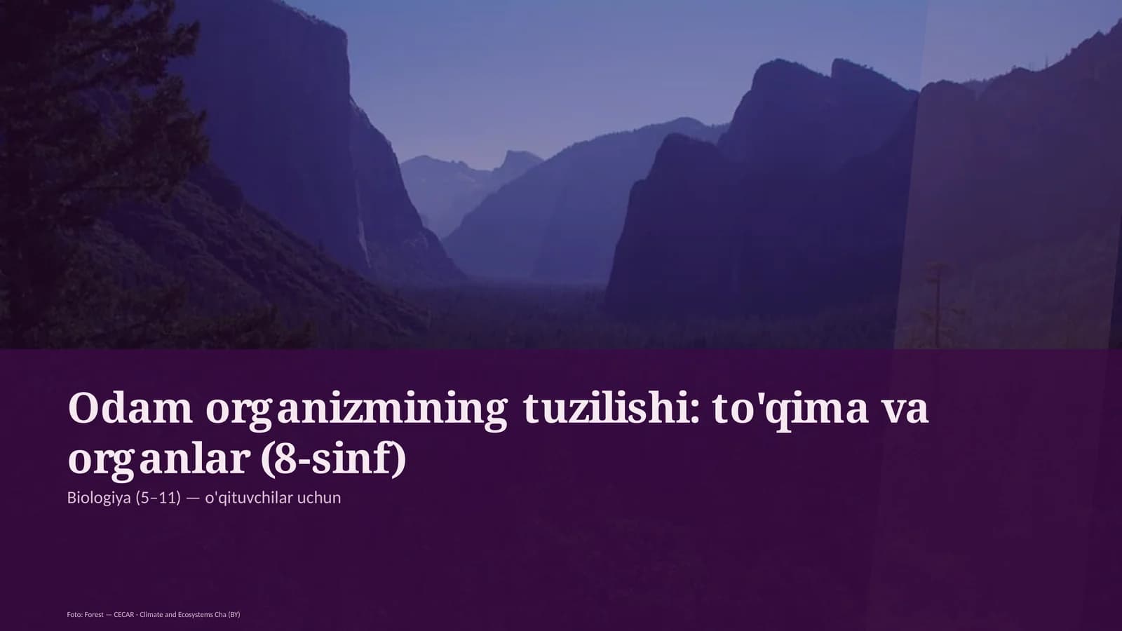 Odam organizmining tuzilishi: to'qima va organlar (8-sinf)