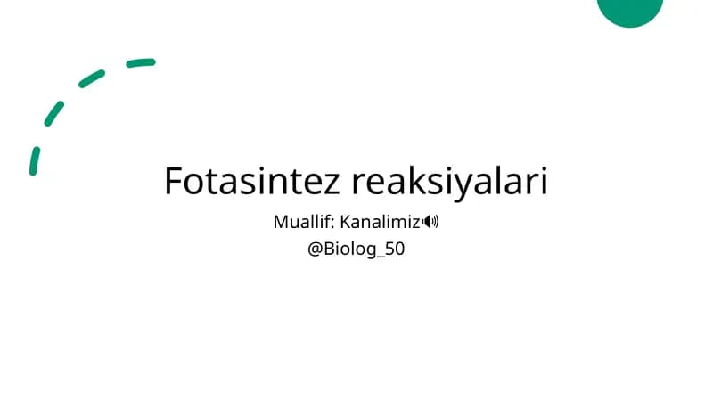 Fotasintez reaksiyalari