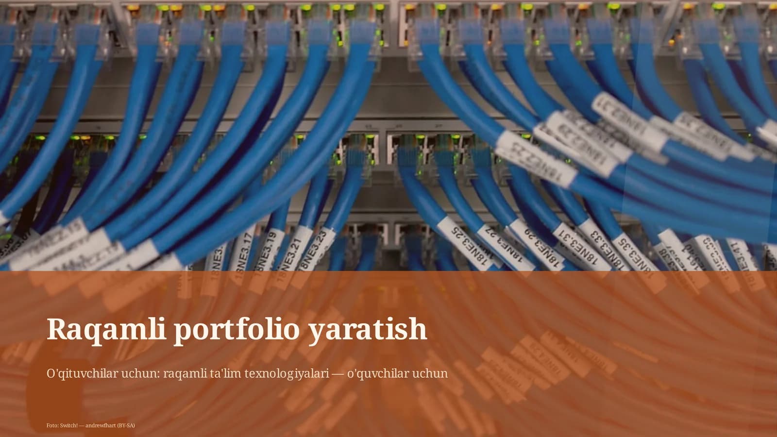 Raqamli portfolio yaratish