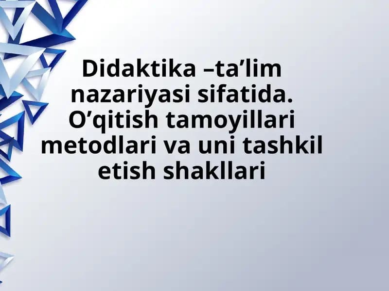 Didaktika –ta’lim nazariyasi sifatida. O’qitish tamoyillari metodlari va uni tashkil etish shakllari
