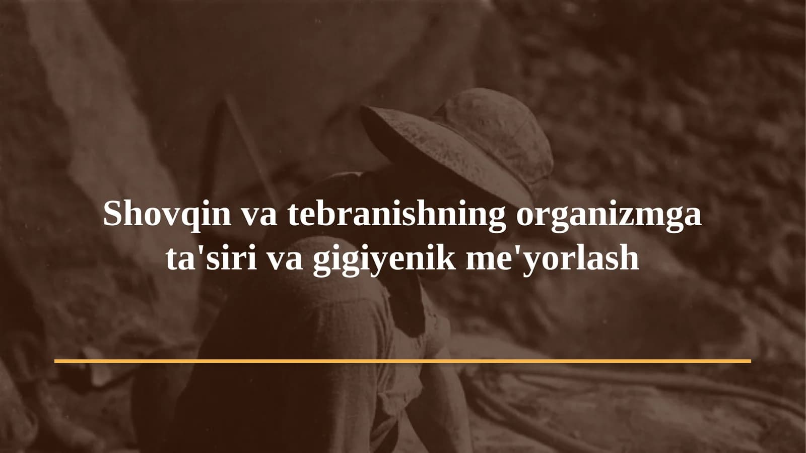 Shovqin va tebranishning organizmga ta'siri va gigiyenik me'yorlash