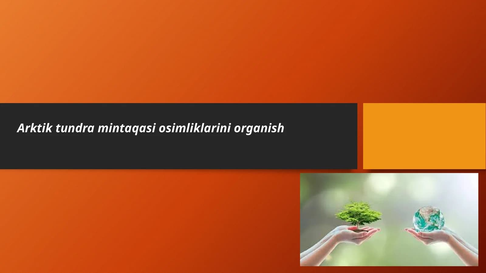 Arktik tundra oʻsimliklarini organish