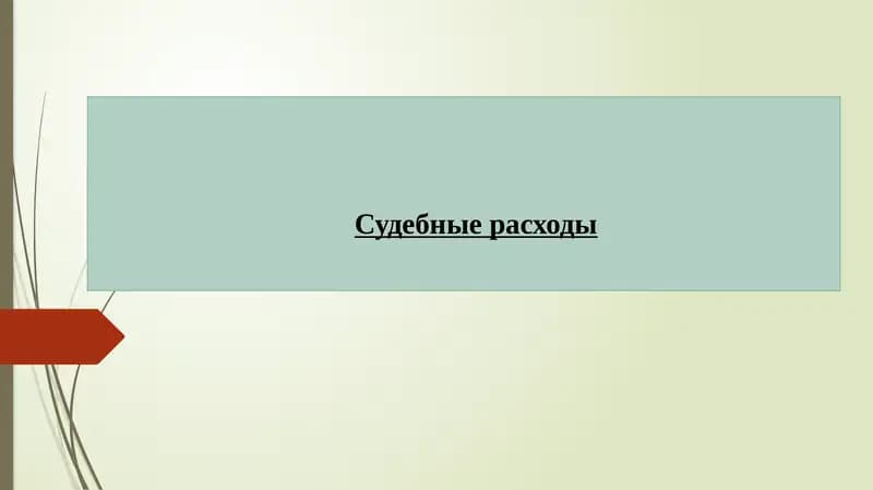 Судебные расходы