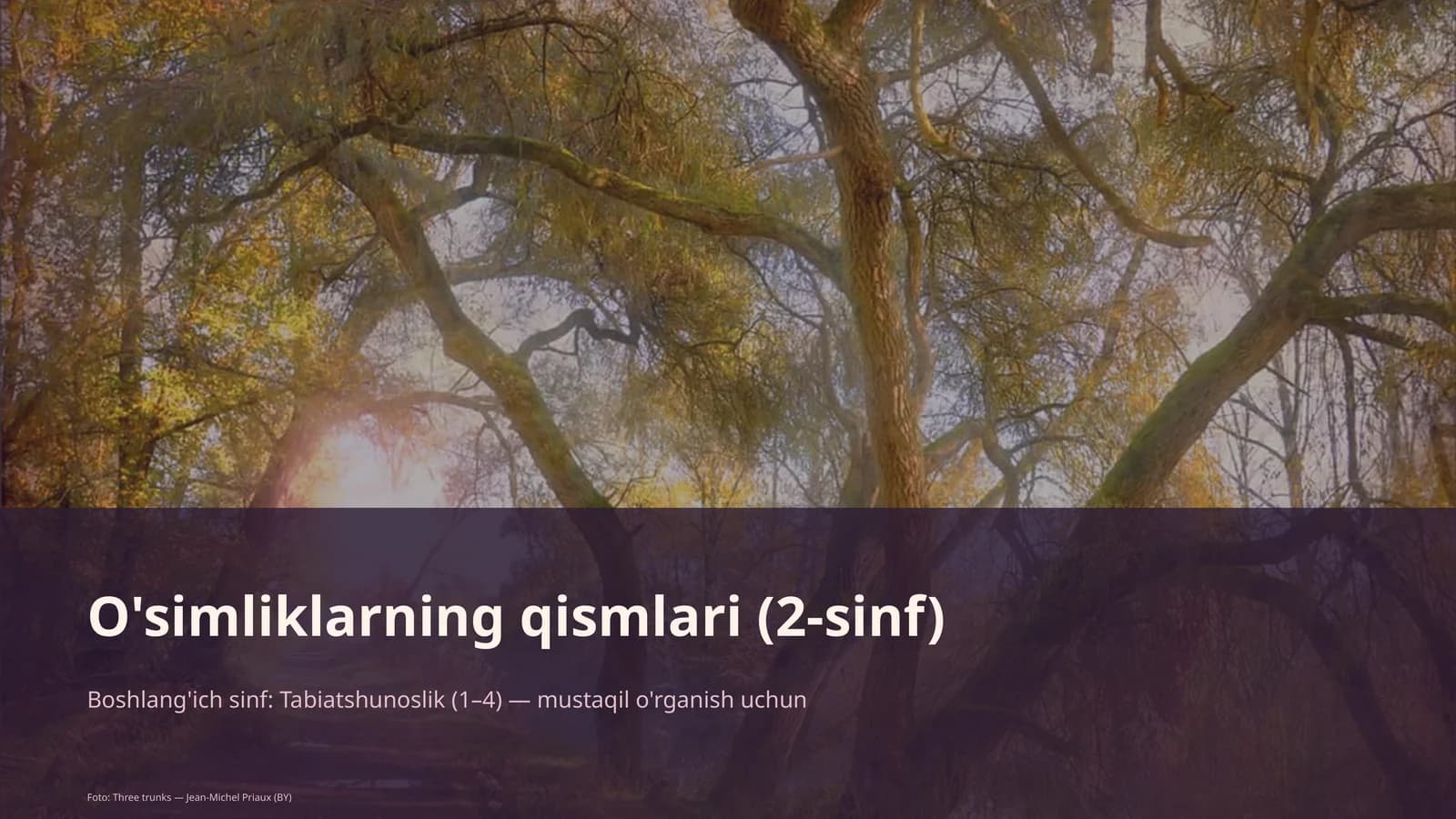 O'simliklarning qismlari (2-sinf)