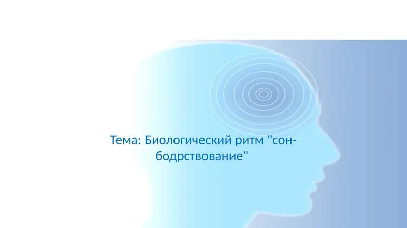 Биологический ритм сон-бодрствование
