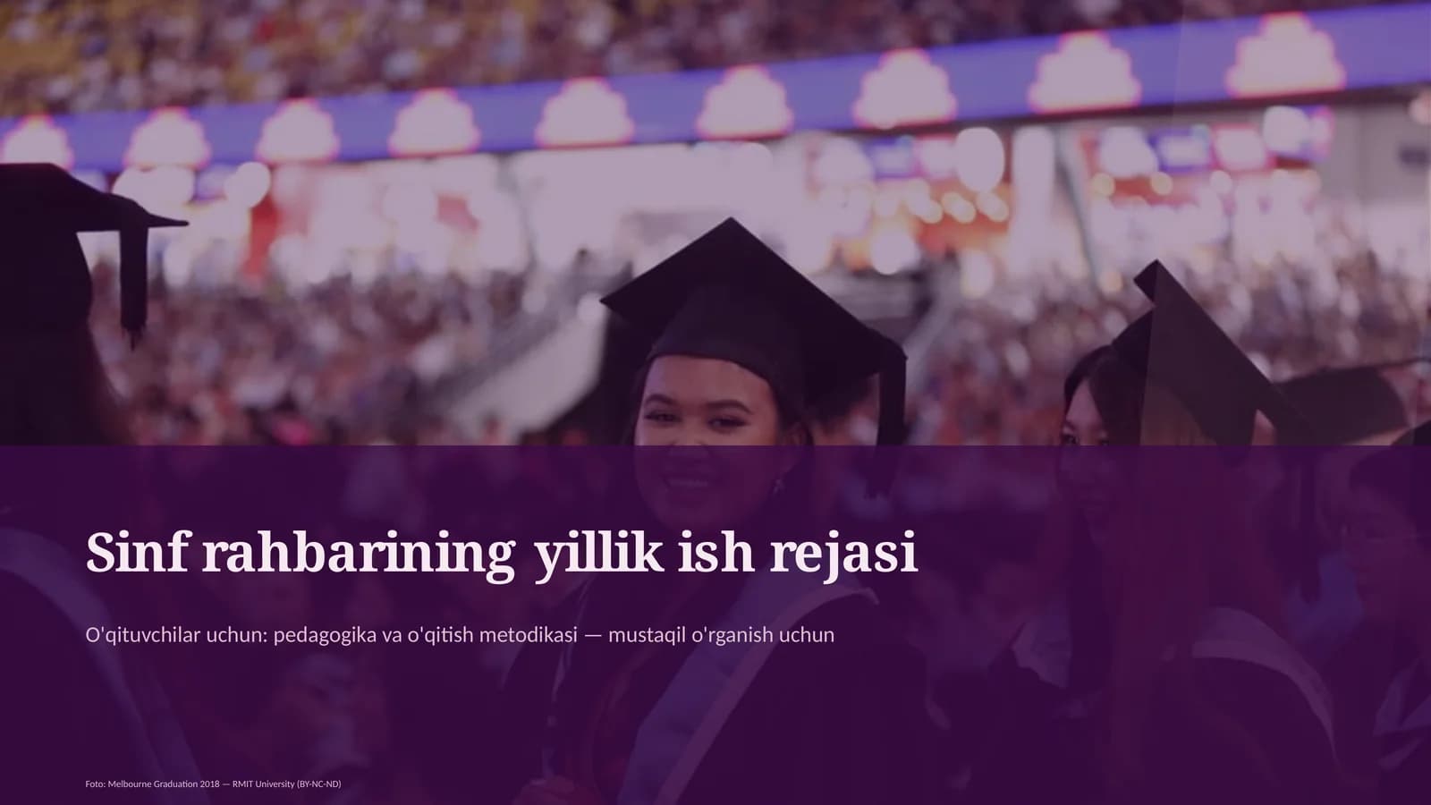 Sinf rahbarining yillik ish rejasi