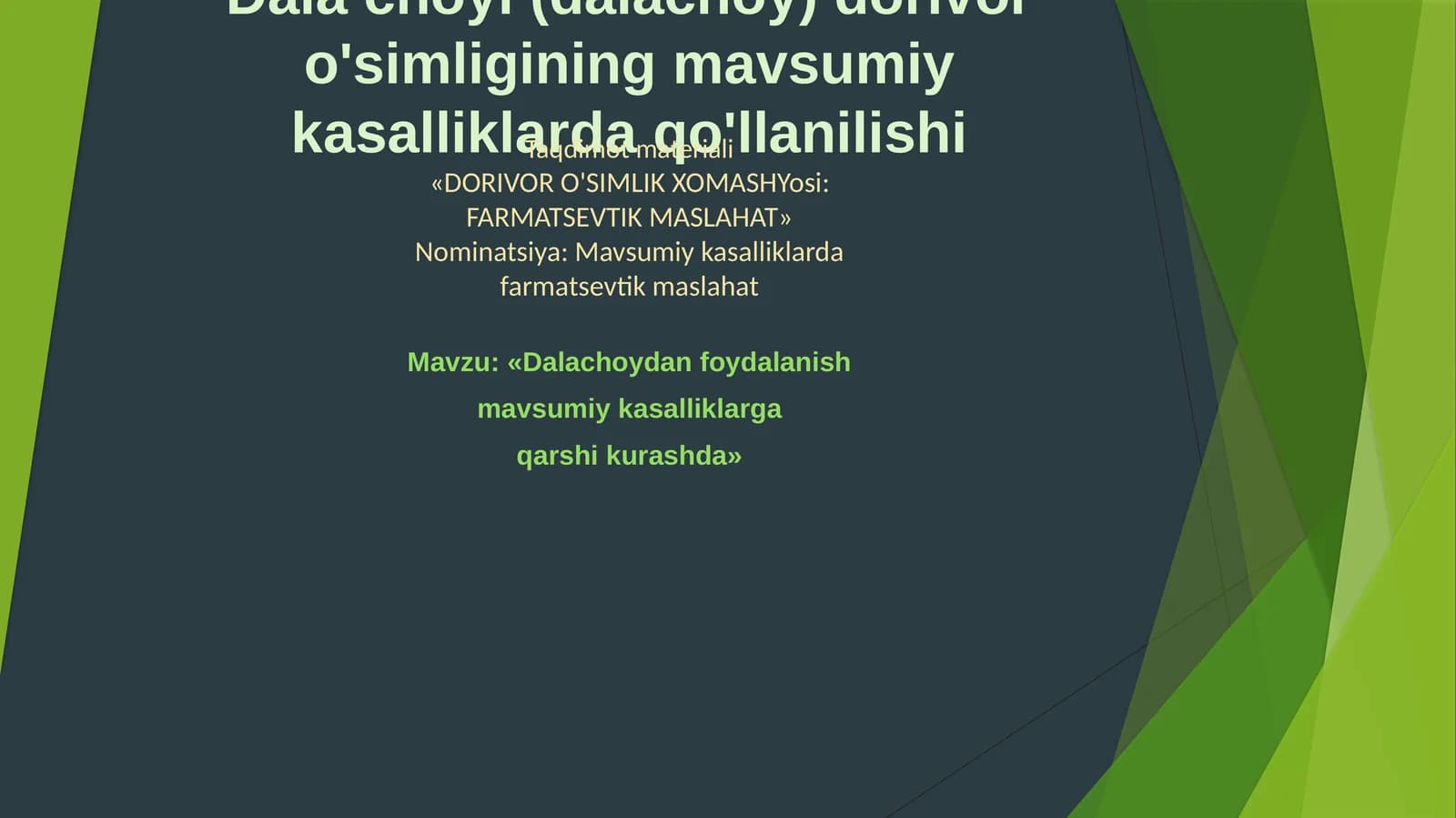 Dala choyi (dalachoy) dorivor o'simligining mavsumiy kasalliklarda qo'llanilishi