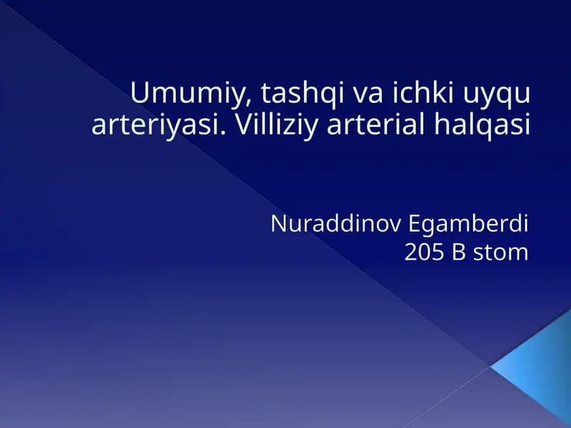 Villiziy arterial halqasi