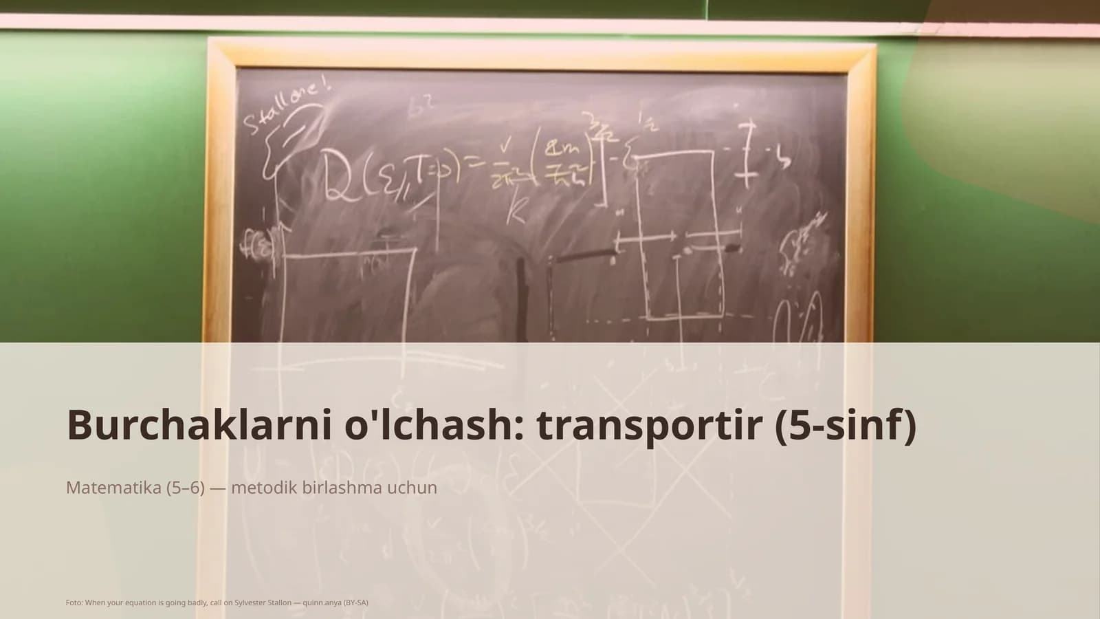 Matematika (5–6) — metodik birlashma uchun
