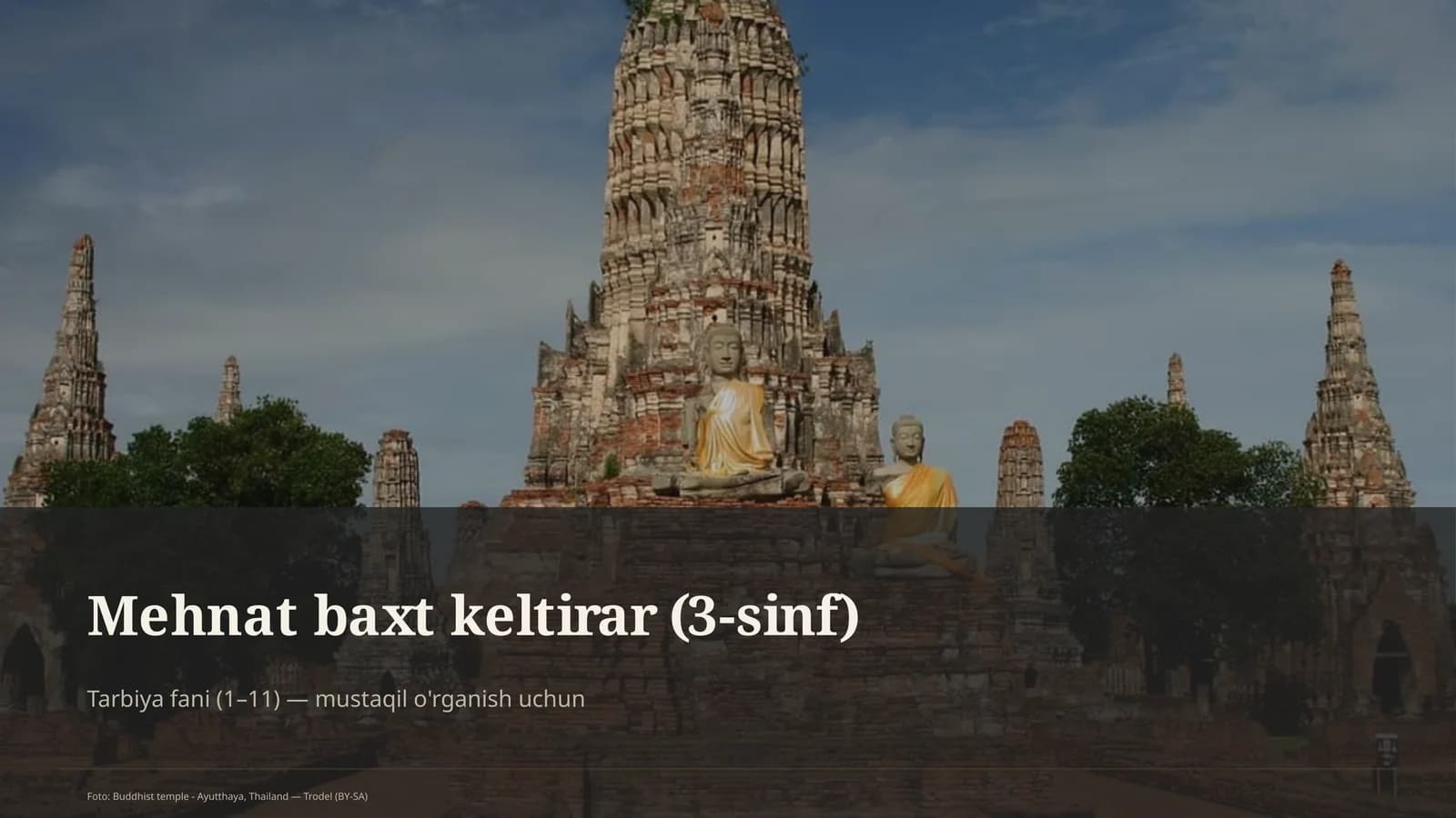 Mehnat baxt keltirar (3-sinf) Ta'lim Dasturi